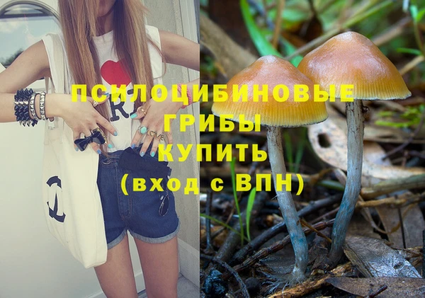 PSILOCYBIN Вязники