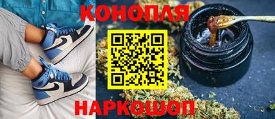 стаф Донской