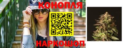 стаф Донской
