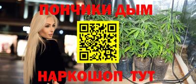 стаф Донской