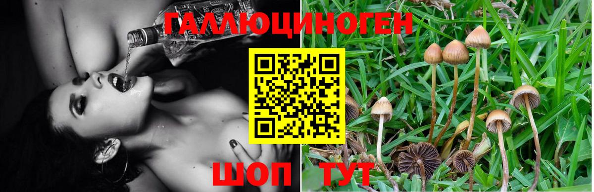 Псилоцибиновые грибы мицелий  Краснокаменск 