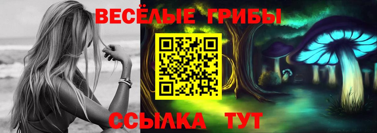 Краснокаменск  Галлюциногенные грибы Magic Shrooms  купить наркоту  Галлюциногенные грибы Cubensis  Вход с VPN 